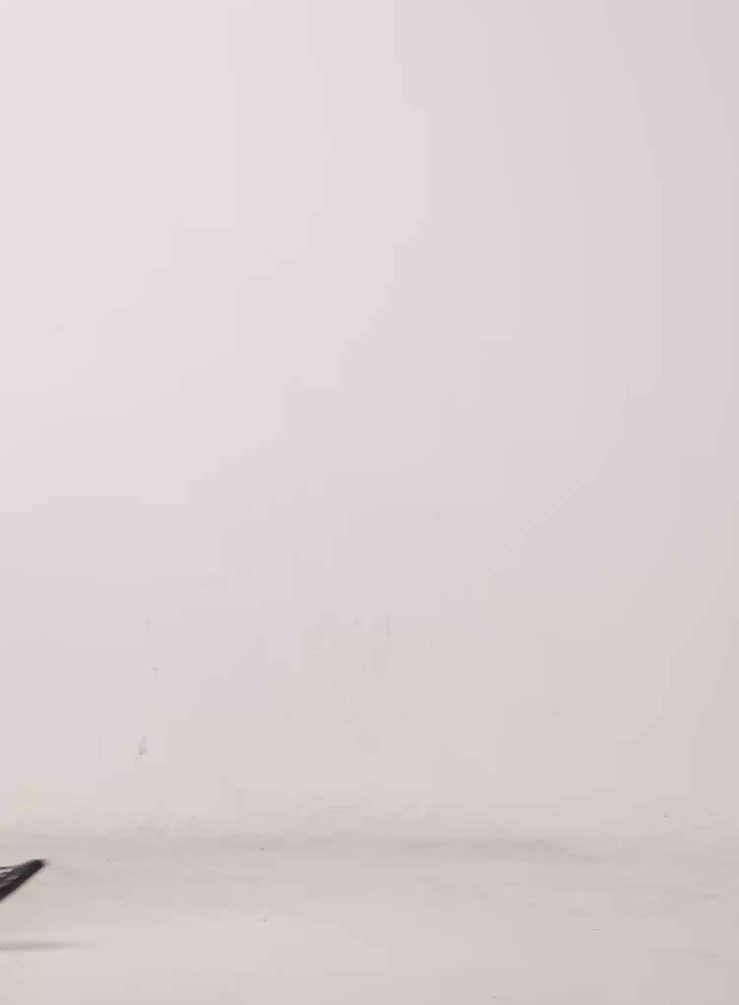 Sheer Lace Halter Neck Top CU527