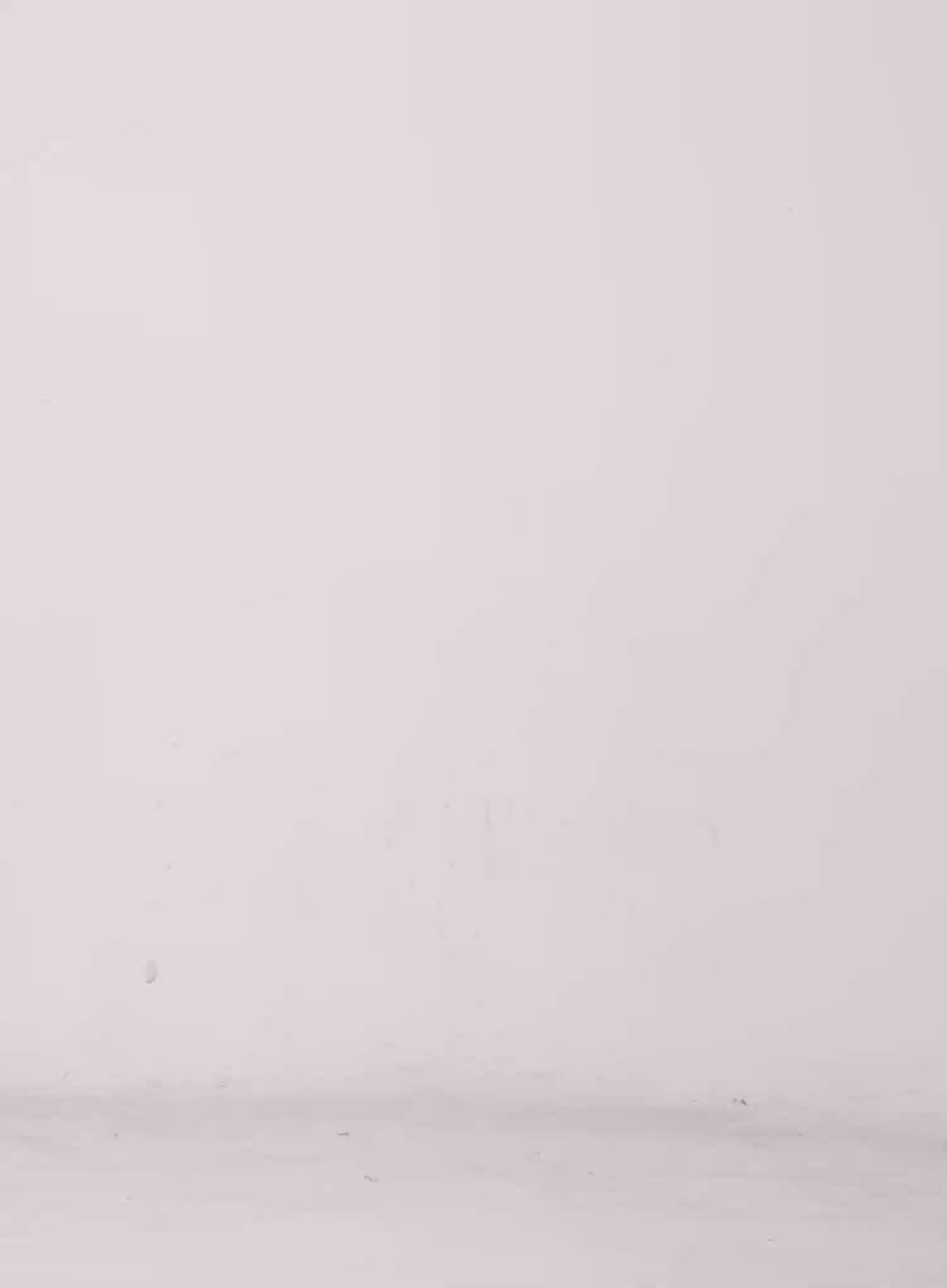 Kitty Graphic Cropped Tee CL525