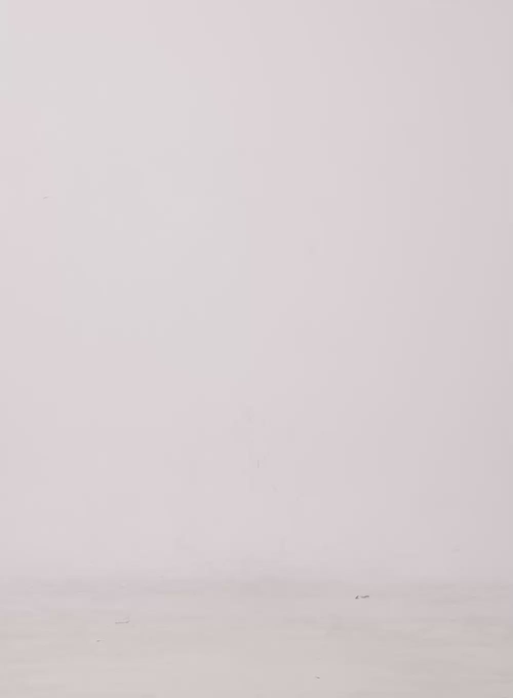 Ruffle Soft Touch Mini Skirt CD404