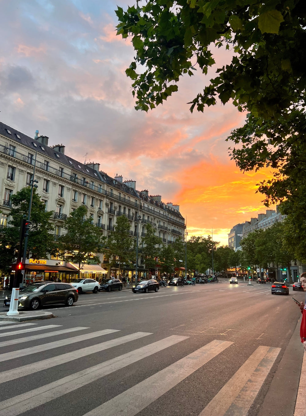 sophiablog_11 (1).jpg__PID:4ffb2c40-3f21-4baf-b712-f8c08d9de23a